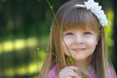 �ꗱ���{���ł���`�̃T���l�C���摜