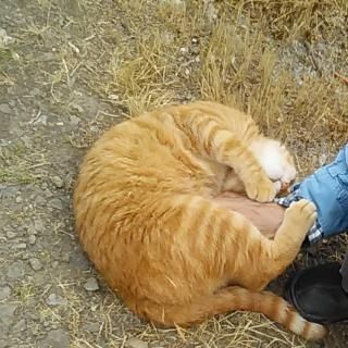 �@�����Ȃ����Ă������������E�E�̃T���l�C���摜