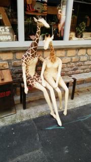 ���߂������Ă܂���H�̃T���l�C���摜