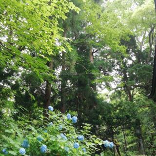 �N�ɂ����Ȃ�����Q��E�E�̃T���l�C���摜