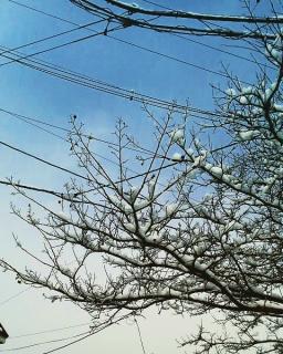 �Ⴋ����̃T���l�C���摜