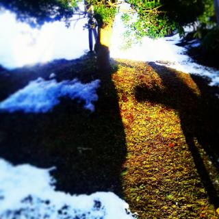 �a�J�g���}�����̃T���l�C���摜