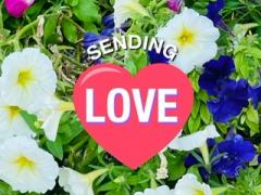 �q���̗l�ɖ��׋C�ȑ���B7.04���̂̃T���l�C���摜