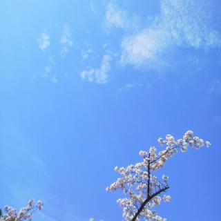 �Ԃ��炢����Ԍ��ł���[�̃T���l�C���摜