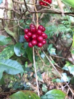 �ł��������(�G�ցG)�̃T���l�C���摜