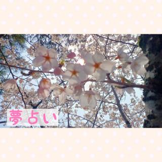 �y���肢�z�����炢�Ă��閲�̈Ӗ��́H�̃T���l�C���摜