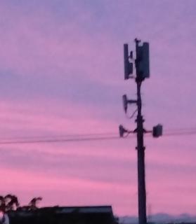 �V�̐��n��z���̃T���l�C���摜