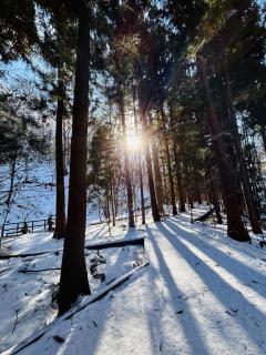 1月11日　はじめまして♪のサムネイル画像