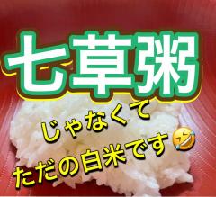 �S���R���g���[��R4.1.7.���̂̃T���l�C���摜