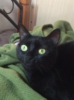 �G�S�C�X�g.R4.2.7.���̂̃T���l�C���摜