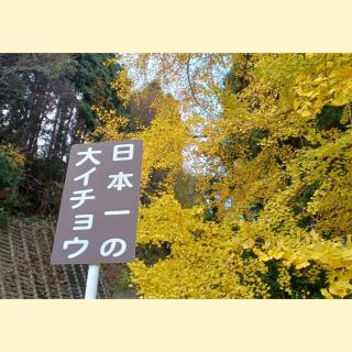 ���{��̑�C�`���E�ŋ��^�A�b�v �����̃T���l�C���摜