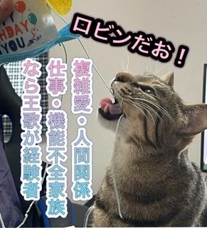 ���͈��炬�̎��ł�R4.2.20���̂̃T���l�C���摜