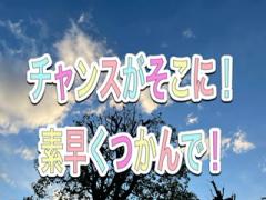 ����΂�́I���́i�������j�ł��̃T���l�C���摜