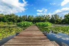 �l����������Ă��銴�o�ɂȂ�Ƃ��̃T���l�C���摜