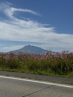 ��R�̏�𗴂���ԁI�c�Ƃ����摜�Љ�̃T���l�C���摜