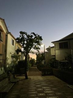 �E��ł̂����߂⌙���点�̃T���l�C���摜