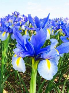�����}�X�^�[���k�@4/11(Sat)�^���̃T���l�C���摜
