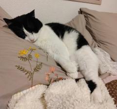 ���o���邱�Ɓ��̃T���l�C���摜