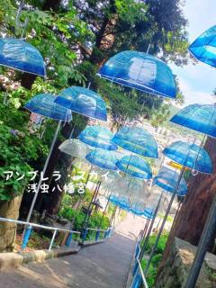 ʐ^fŋIAuXJC̃TlC摜