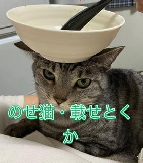 �����͋M��������E8.27���̂̃T���l�C���摜