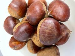 *~*~*���������H*~*~*�̃T���l�C���摜