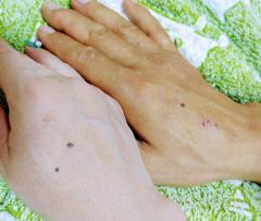 �����Ƒ������̌q����̃T���l�C���摜