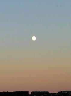 ������Ɍ�肩���閞���̃T���l�C���摜