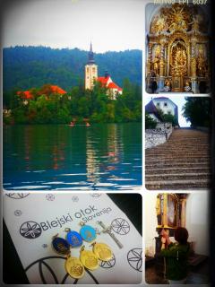 �K�^�̂��������I�C�O����v���[���g�̃T���l�C���摜