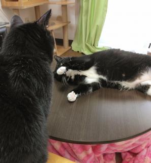 ���̐��̒��̃G�l���M�[���ɉ����ẴT���l�C���摜