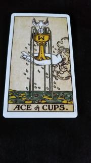 �����̃^���b�g�̃T���l�C���摜