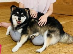 Source of energy�̃T���l�C���摜