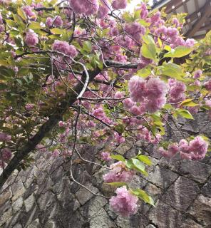 �S��23���@�����^�̃T���l�C���摜