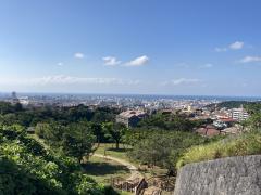 ���������̐��̂̃T���l�C���摜