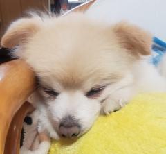 �j���S���̉𖾂̃T���l�C���摜