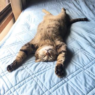 �V���ł��i^^�j�̃T���l�C���摜