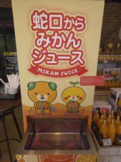 U13@^̃TlC摜