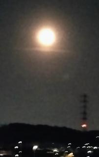 �L���L�����邽�߂ɂ̃T���l�C���摜