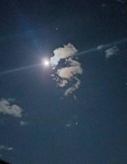 �Q��13���@�^���̃T���l�C���摜