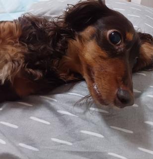 �Q��27���@�^���̃T���l�C���摜