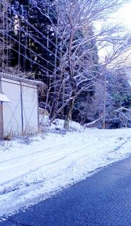 �Q��6���@�^���̃T���l�C���摜