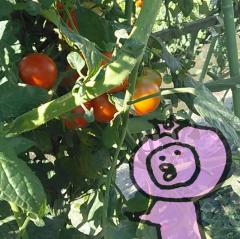 ���z�͈̑傾�Ǝv�����̃T���l�C���摜