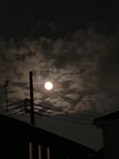 �y���������z�����̌��̏��鍠�̃T���l�C���摜