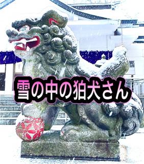 �I���̃^�C�~���OR4.1.6.���̂̃T���l�C���摜