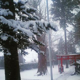 �����͂��x�݂����������Ă���܂��B�̃T���l�C���摜