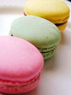 ���َq������������񂹂̃T���l�C���摜