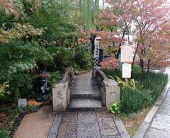 �P��28���̉^���̃T���l�C���摜