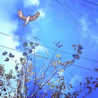 ���R�ƕ��a�������A�����������߂���̃T���l�C���摜