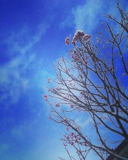 �C�j�V�G�[�V�������u�̃T���l�C���摜