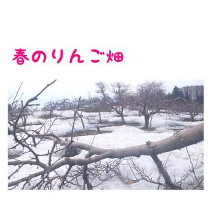 �ꂵ����������z���ẴT���l�C���摜