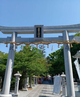 �T���̗����^�̃T���l�C���摜